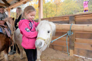 Besuche unsere vierbeinigen Freunde auf der Pistolero Ranch. Hier kannst du unsere Ponys streicheln und auch reiten.