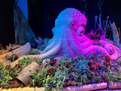 BlütenWunder 2026_Oktopus in seiner Unterwasserwelt