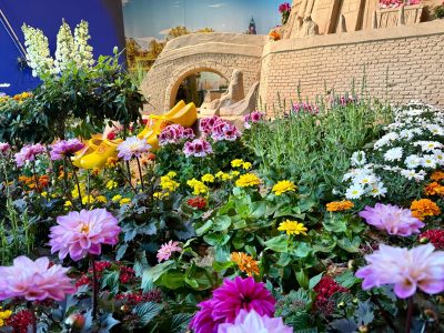 BlütenWunder Charity-Week_Pflanzenabverkauf für den guten Zweck ab 20. Mai
